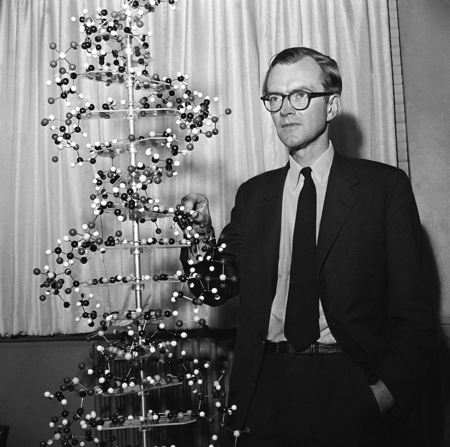 1962: DNA